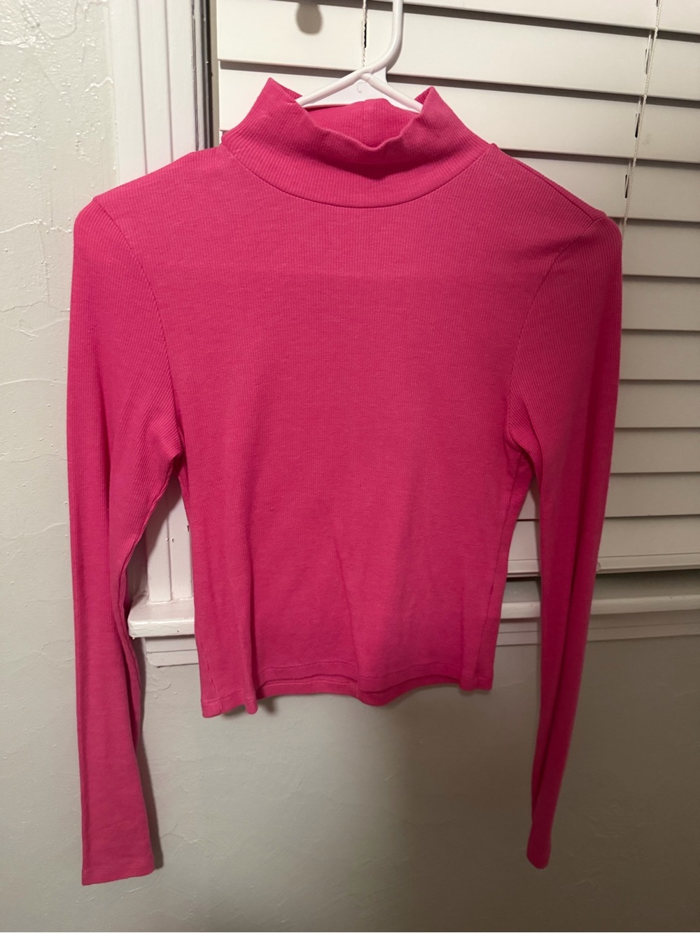 American Eagle Outfitters Hot Pink Ribbed Mock Neck Long Sleeve Top
